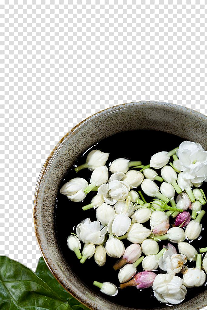 white jasmine buds transparent background PNG clipart