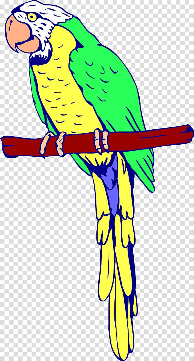 Amazon parrot Bird Coloring book Macaw, parrot transparent background PNG clipart