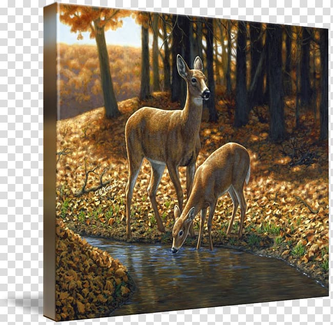 Red deer Oil painting White-tailed deer, deer transparent background PNG clipart