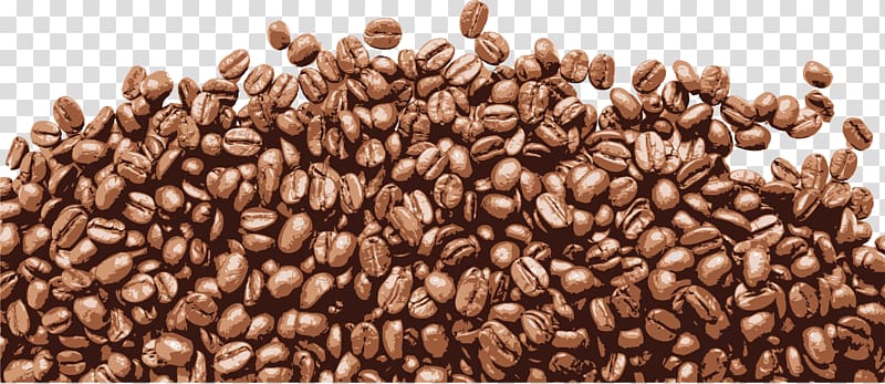 Coffee bean Cappuccino Cafe Ipoh white coffee, Hand painted brown coffee beans transparent background PNG clipart