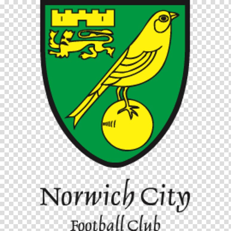 Norwich City F.C. Under-23s and Academy Carrow Road The Nest Southampton F.C., norwich city f.c. transparent background PNG clipart