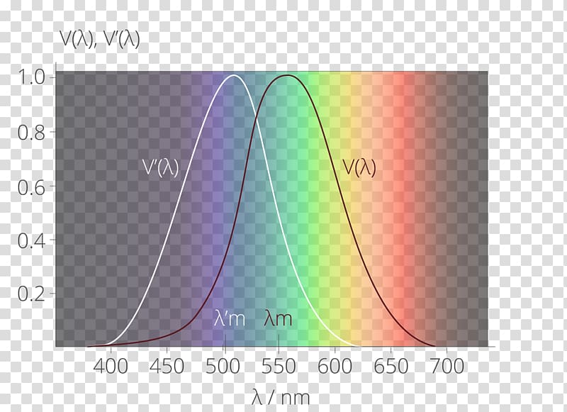 Light Spectral sensitivity Scotopic vision Luminosity function pic vision, annular luminous efficiency transparent background PNG clipart