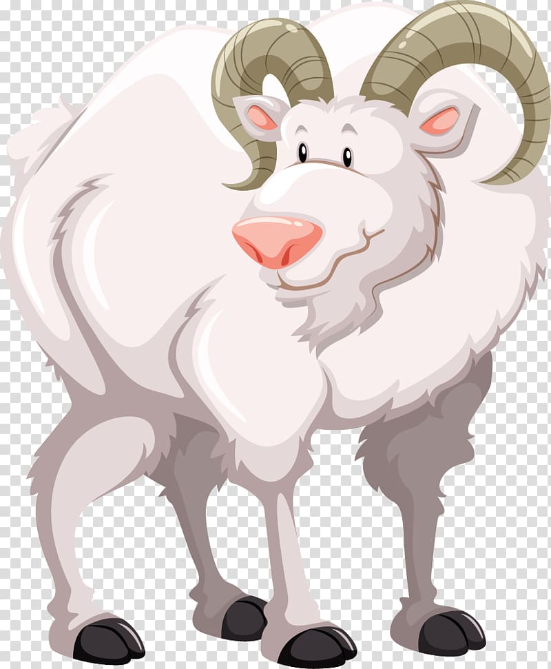 Goat Sheep Illustration, cartoon white goat transparent background PNG clipart