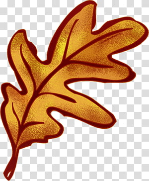 Leaf Tree, Leaf transparent background PNG clipart thumbnail