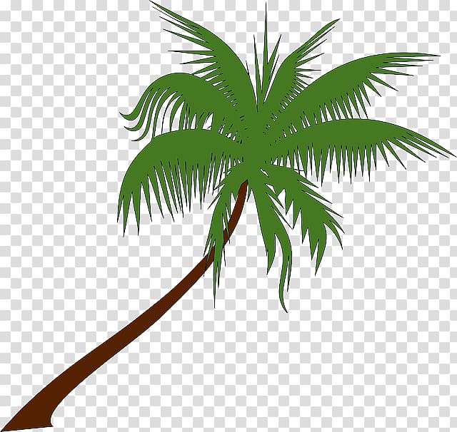 Coconut Arecaceae Tree , palm leaves transparent background PNG clipart