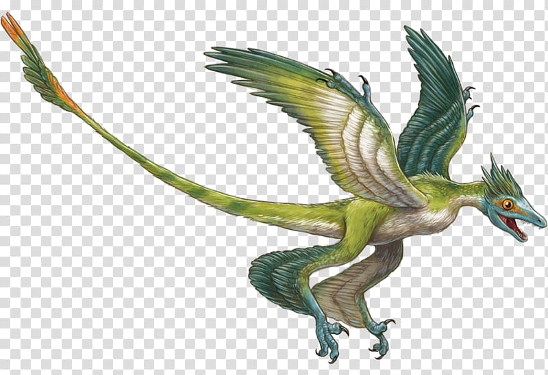 Microraptor Velociraptor Triceratops Rahonavis Deinonychus, gliding transparent background PNG clipart