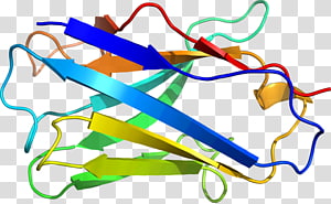 Line Point , line transparent background PNG clipart thumbnail