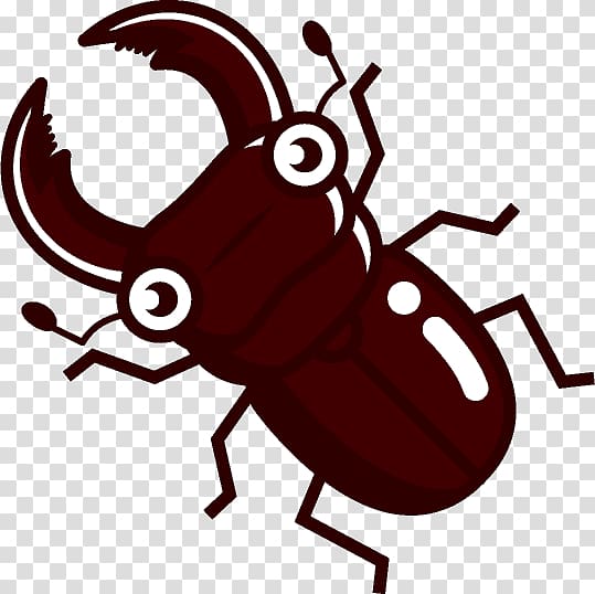 Stag beetle Illustration Japanese rhinoceros beetle Dorcus rectus, beetle transparent background PNG clipart