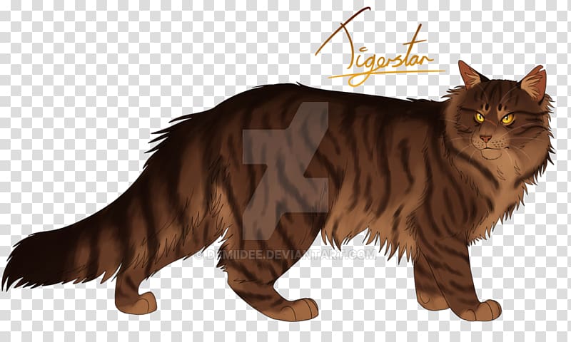 Warriors Cat Tigerstar The Rise of Scourge, warriors transparent background PNG clipart