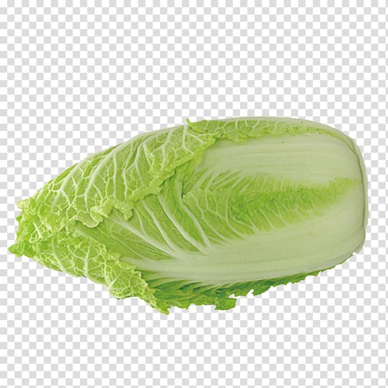 Organic food Vegetable Napa cabbage Chinese cabbage, Chinese cabbage transparent background PNG clipart
