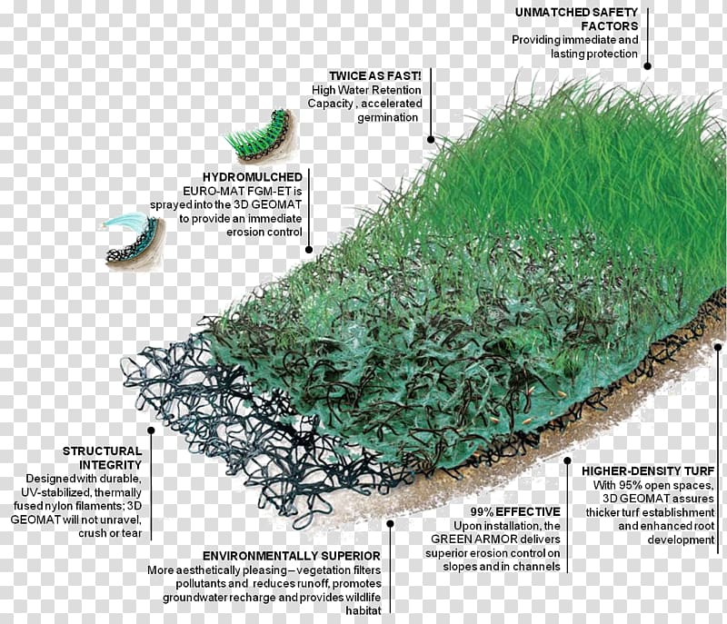 Plant community Water resources Tree Grasses, water transparent background PNG clipart
