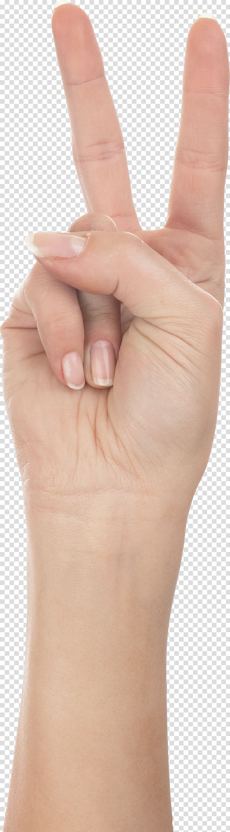 Thumb Hand Upper limb, Hands , hand free transparent background PNG clipart