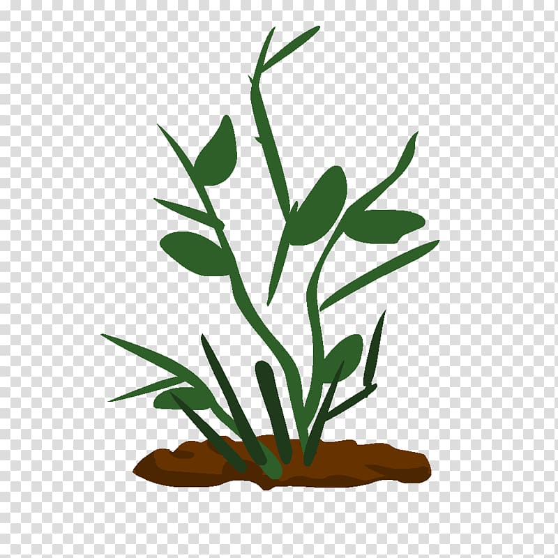 Drawing Technique Plant Stem Plante Transparent Background Png Clipart Hiclipart