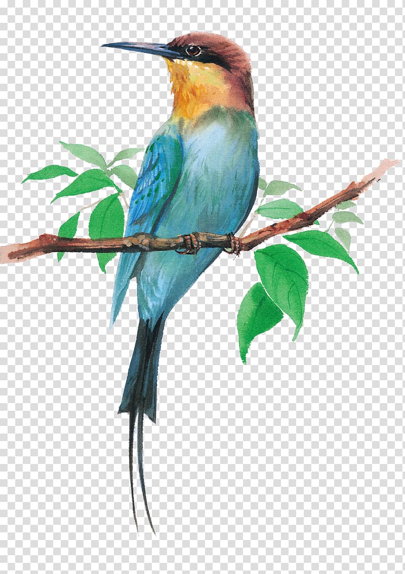 blue and brown hummingbird art, Bird Dog Watercolor painting Cartoon Illustration, Birds transparent background PNG clipart
