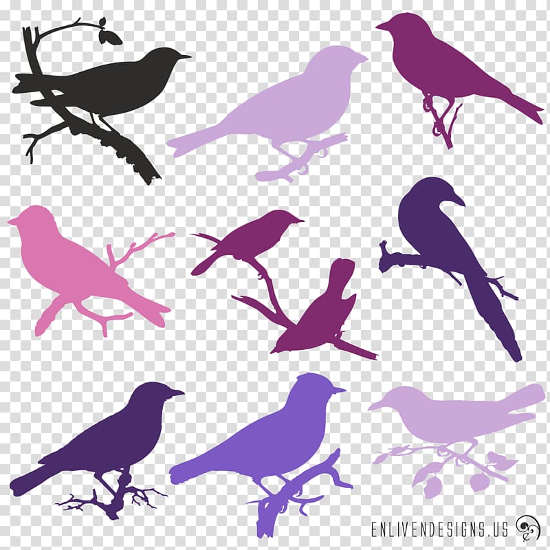 Bird Purple Silhouette Violet Lavender, birds silhouette transparent background PNG clipart