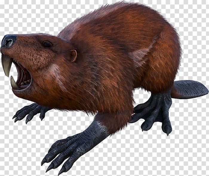 Beaver ARK: Survival Evolved Allosaurus Carnotaurus Giganotosaurus, beaver transparent background PNG clipart