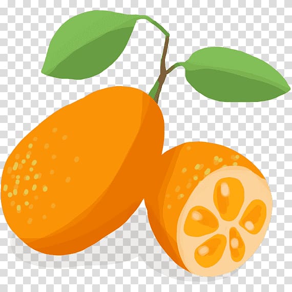 Clementine Kumquat Mandarin orange Vegetable Bitter orange, kumquat transparent background PNG clipart