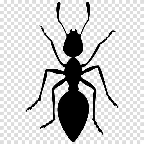 Ant Silhouette , Silhouette transparent background PNG clipart