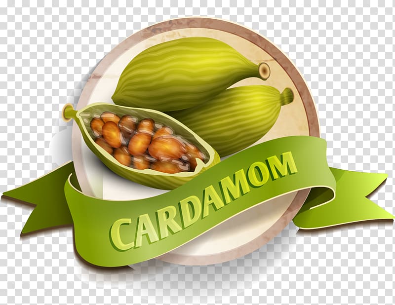 Cardamom Spice, Simple green almond transparent background PNG clipart