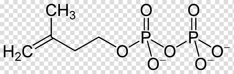 Isopentenyl pyrophosphate Biology Dimethylallyl pyrophosphate Science Research, science transparent background PNG clipart