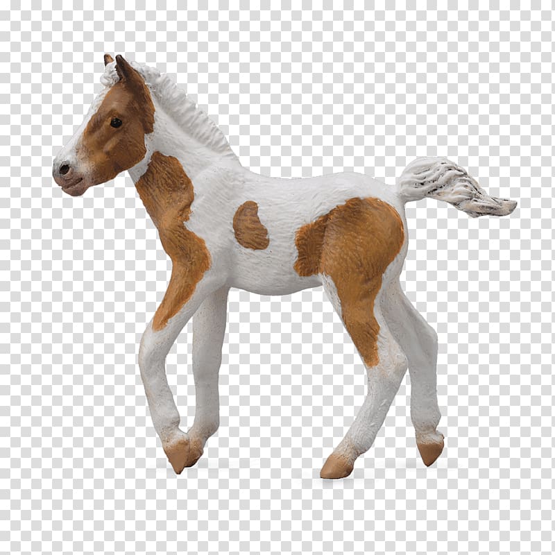 Dartmoor pony Foal Mare Clydesdale horse, foal transparent background PNG clipart