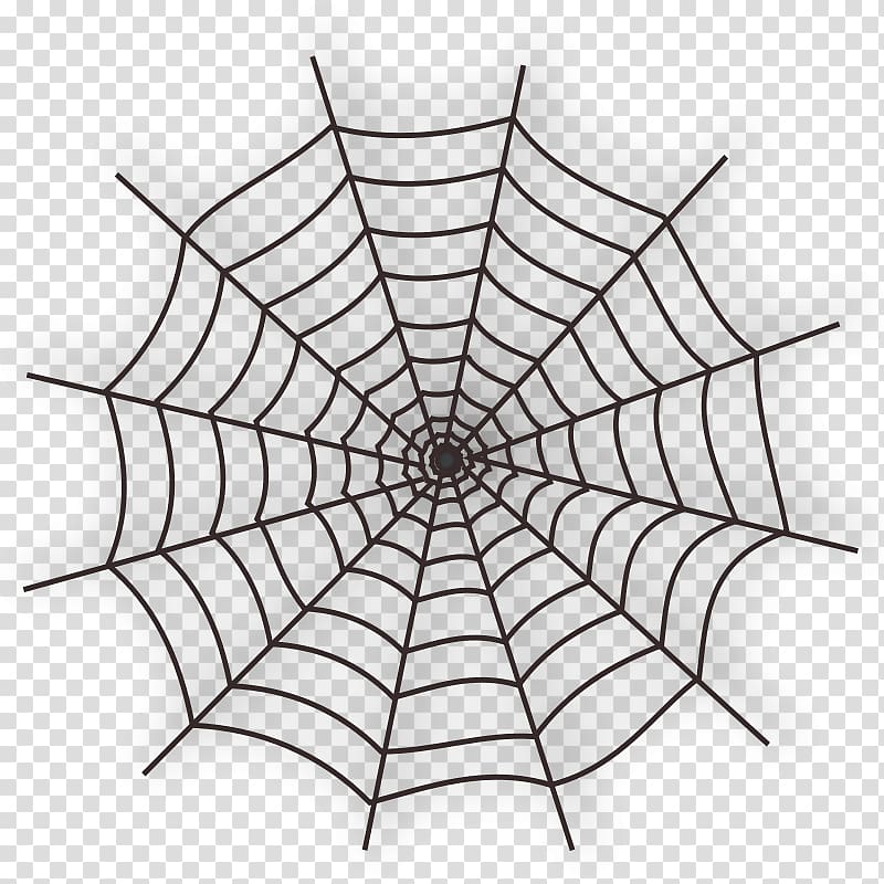 Spider web , spider transparent background PNG clipart