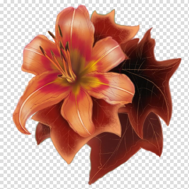 Amaryllis Jersey lily Cut flowers Belladonna Petal, mid autumn logo transparent background PNG clipart