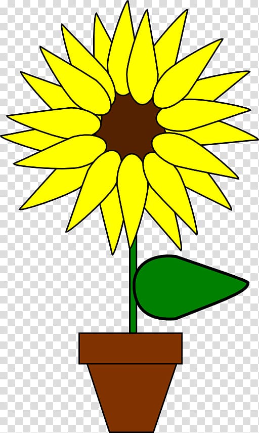 Common sunflower Plant , cartoon sunflower transparent background PNG clipart