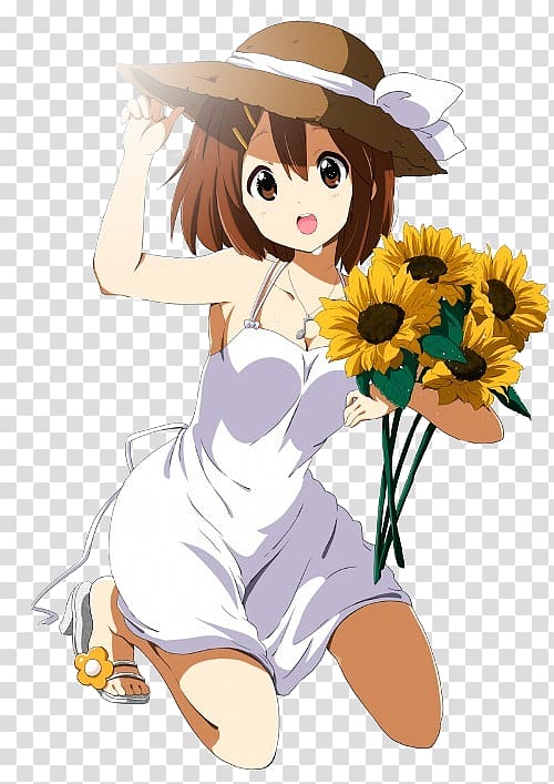 Yui Hirasawa Mio Akiyama Ritsu Tainaka Tsumugi Kotobuki Azusa Nakano, Anime transparent background PNG clipart