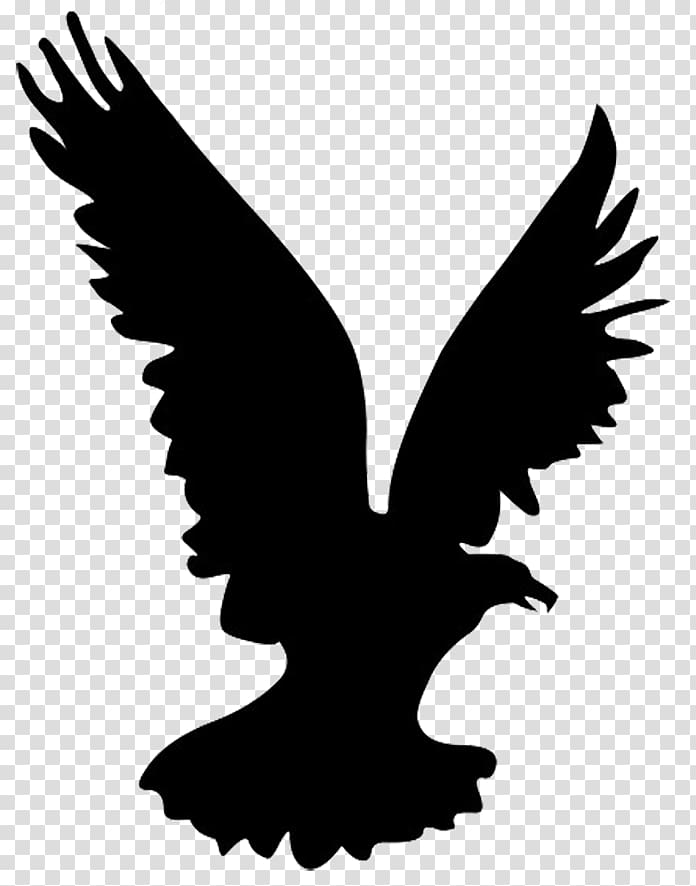 Bald Eagle Bird Silhouette , Eagle Silhouette transparent background PNG clipart