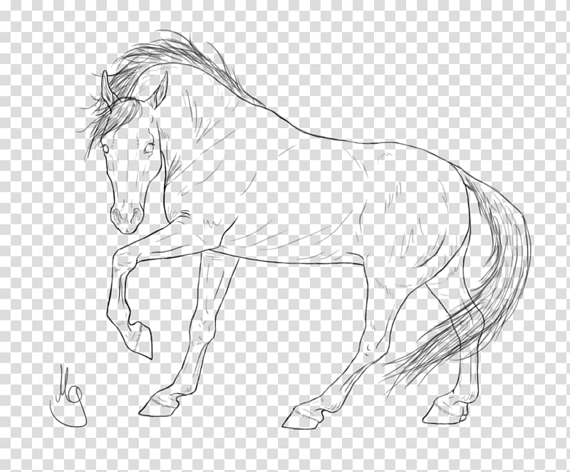 Mustang Arabian horse Stallion Clydesdale horse Mane, mustang transparent background PNG clipart