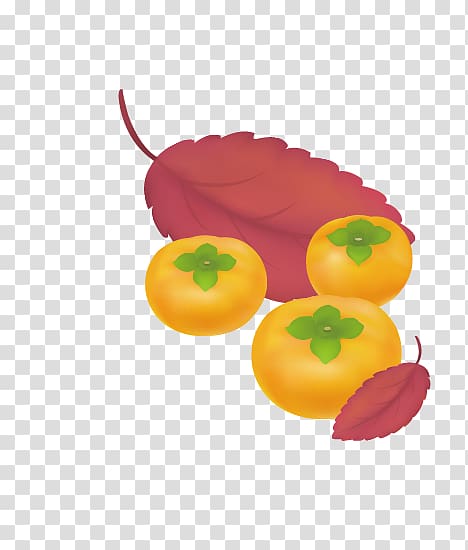 Japanese Persimmon Fruit, persimmon transparent background PNG clipart