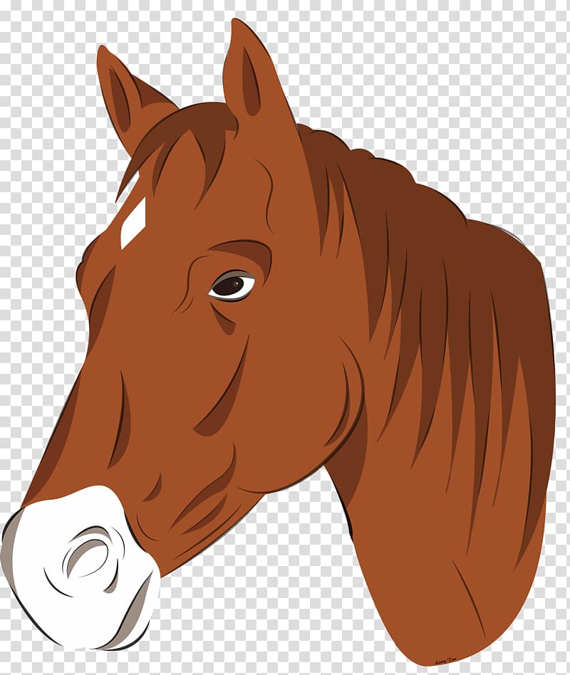 Mustang Pony Horse head mask , horse transparent background PNG clipart