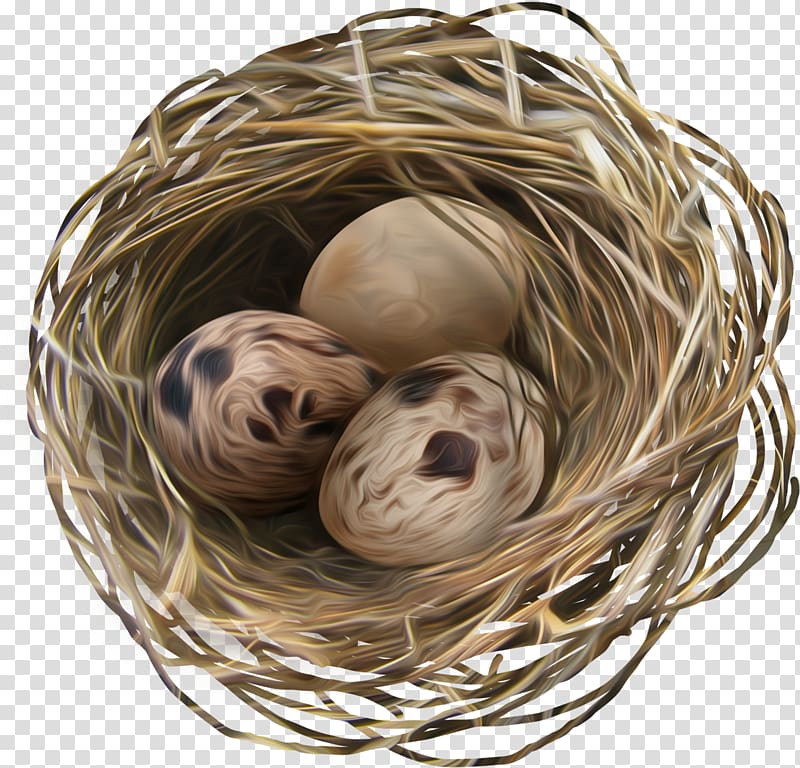 Egg Nest Easter, Nest transparent background PNG clipart