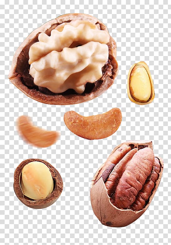 English walnut, Delicious nutritious nuts Nuts Walnut transparent background PNG clipart