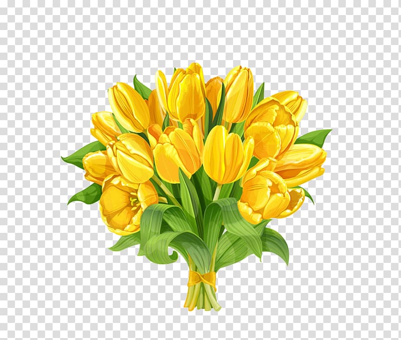 Indira Gandhi Memorial Tulip Garden Flower bouquet, Yellow Tulips transparent background PNG clipart