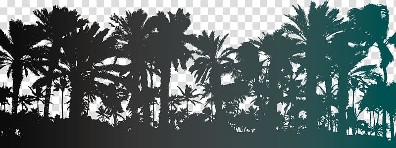 silhouette of trees, Arecaceae Tree Illustration, palm trees silhouettes transparent background PNG clipart