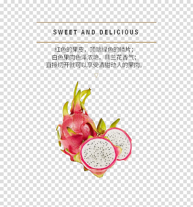 Pitaya Strawberry Computer file, Pitaya profile transparent background PNG clipart