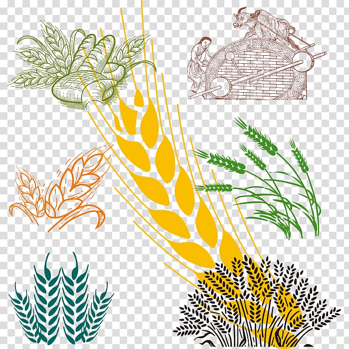 Wheat Cartoon , Hand painted wheat transparent background PNG clipart