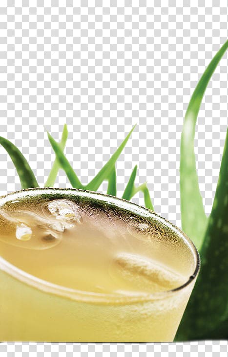 Aloe vera Juice Gelatin dessert, Aloe vera gel transparent background PNG clipart