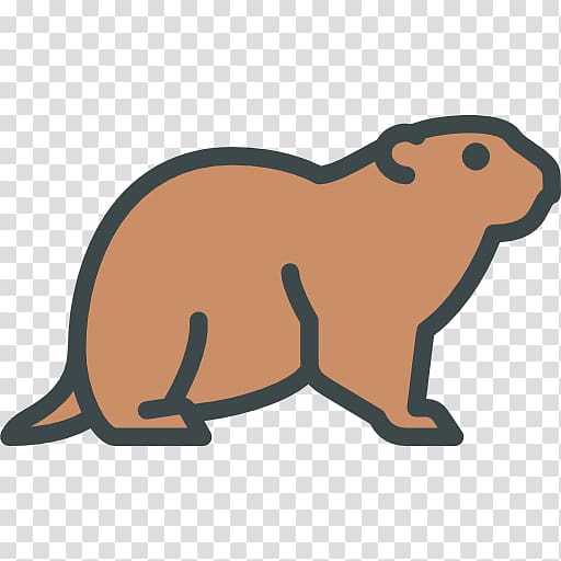 Beaver Computer Icons Squirrel , beaver transparent background PNG clipart