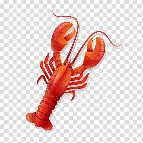 Lobster Caridea Palinurus elephas Shrimp Astacoidea, Red Lobster transparent background PNG clipart
