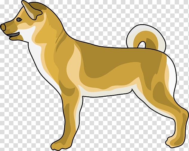 Dog breed Shikoku Norwegian Lundehund Canaan Dog Puppy, puppy transparent background PNG clipart