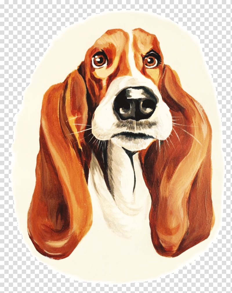 Beagle Harrier English Foxhound Finnish Hound Dog breed, dog show transparent background PNG clipart