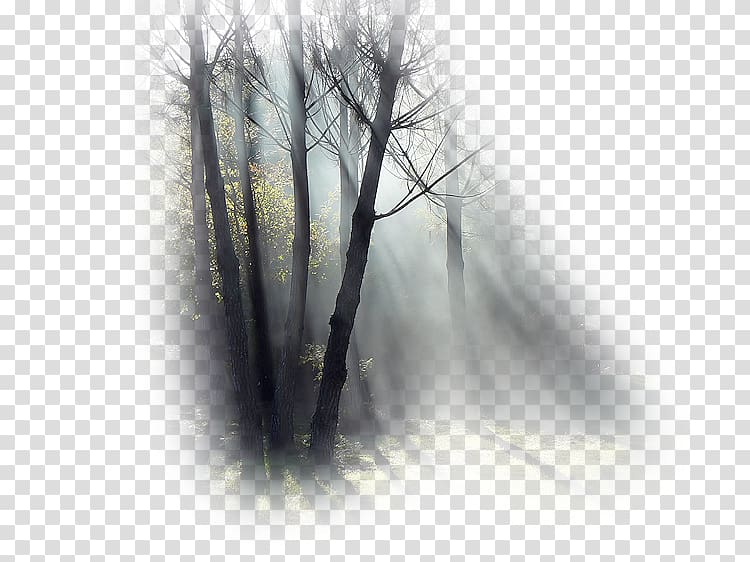 Fog Desktop Mist White Trident, mist transparent background PNG clipart