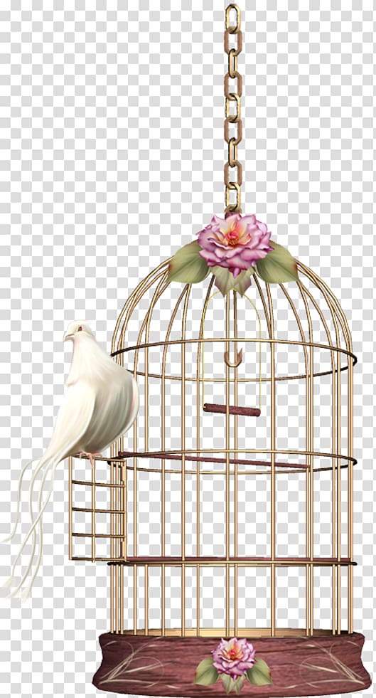 Birdcage Cockatiel, Bird transparent background PNG clipart