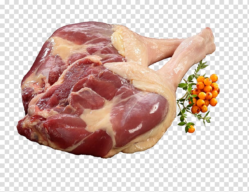 Ham Anser Goose Meat Food, goose transparent background PNG clipart