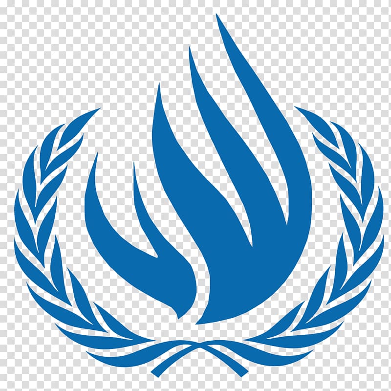 United Nations Headquarters Blue png download - 2878*871 - Free