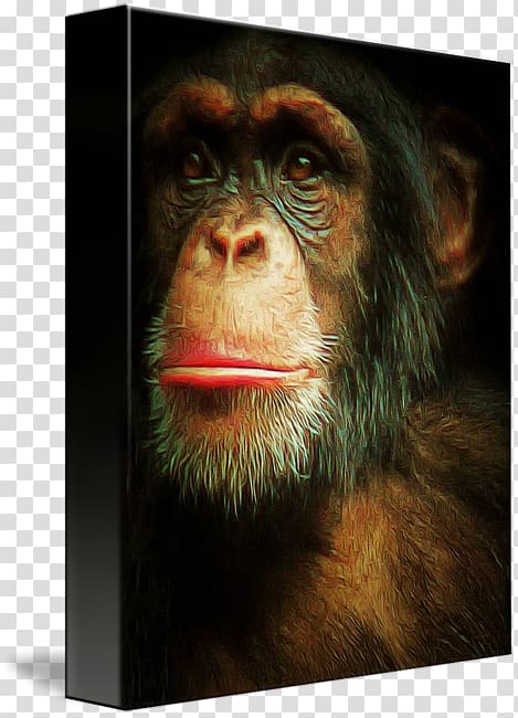 Common chimpanzee Canvas print Art Painting, gorilla chimpanzee transparent background PNG clipart