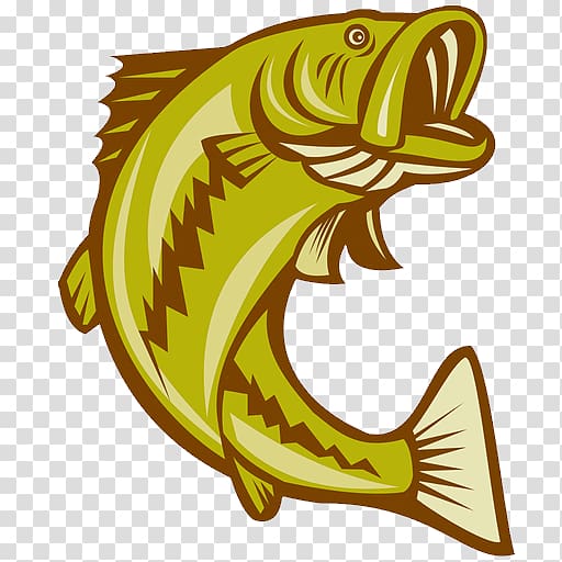 Largemouth bass Bass fishing, Fishing transparent background PNG clipart